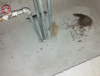 运城市卫生间测漏水价格明细